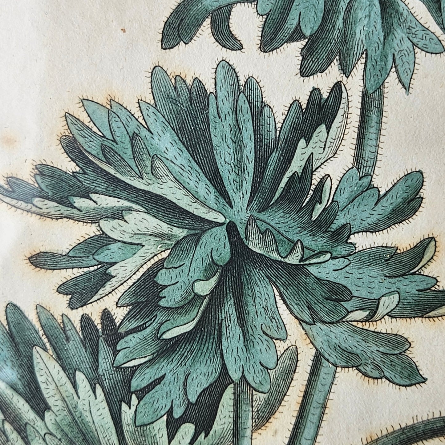 FLOWER ARTWORK 2