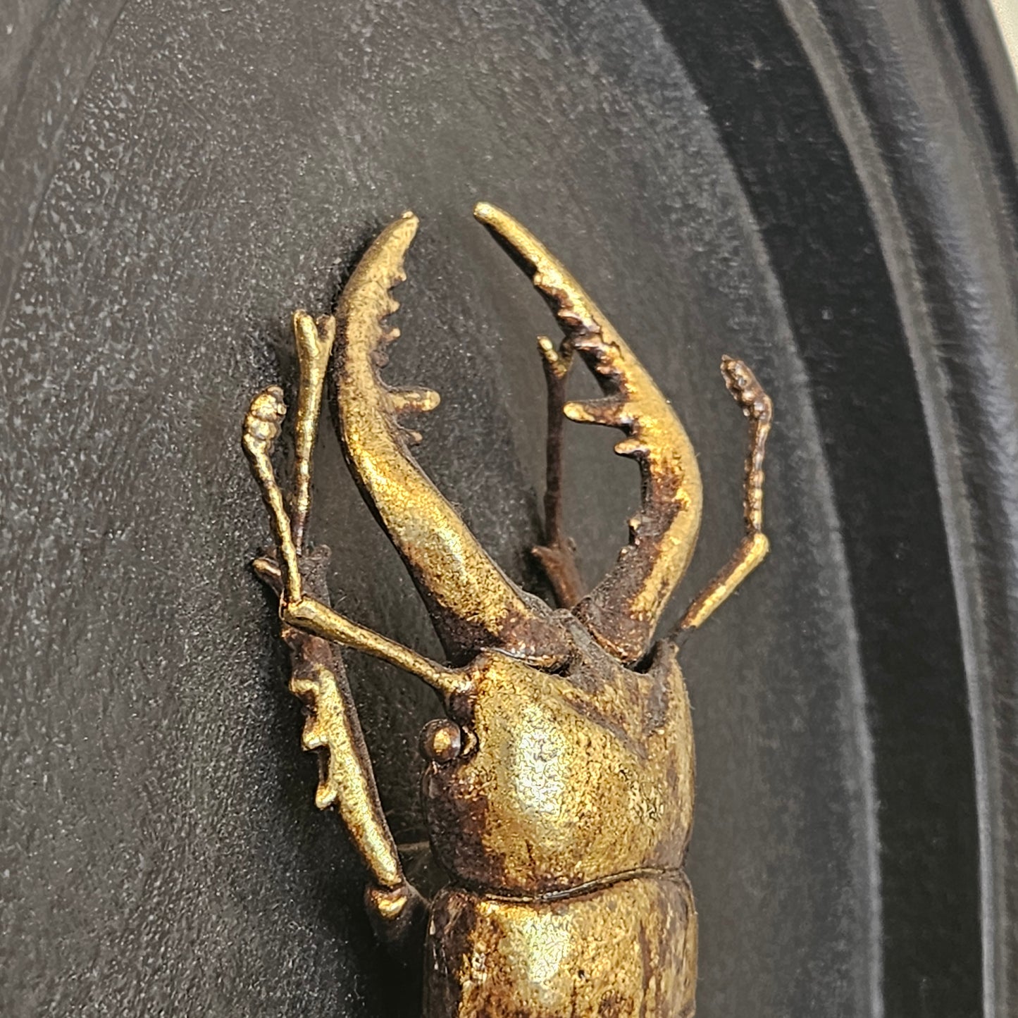 OVAL WALL OBJECT 2