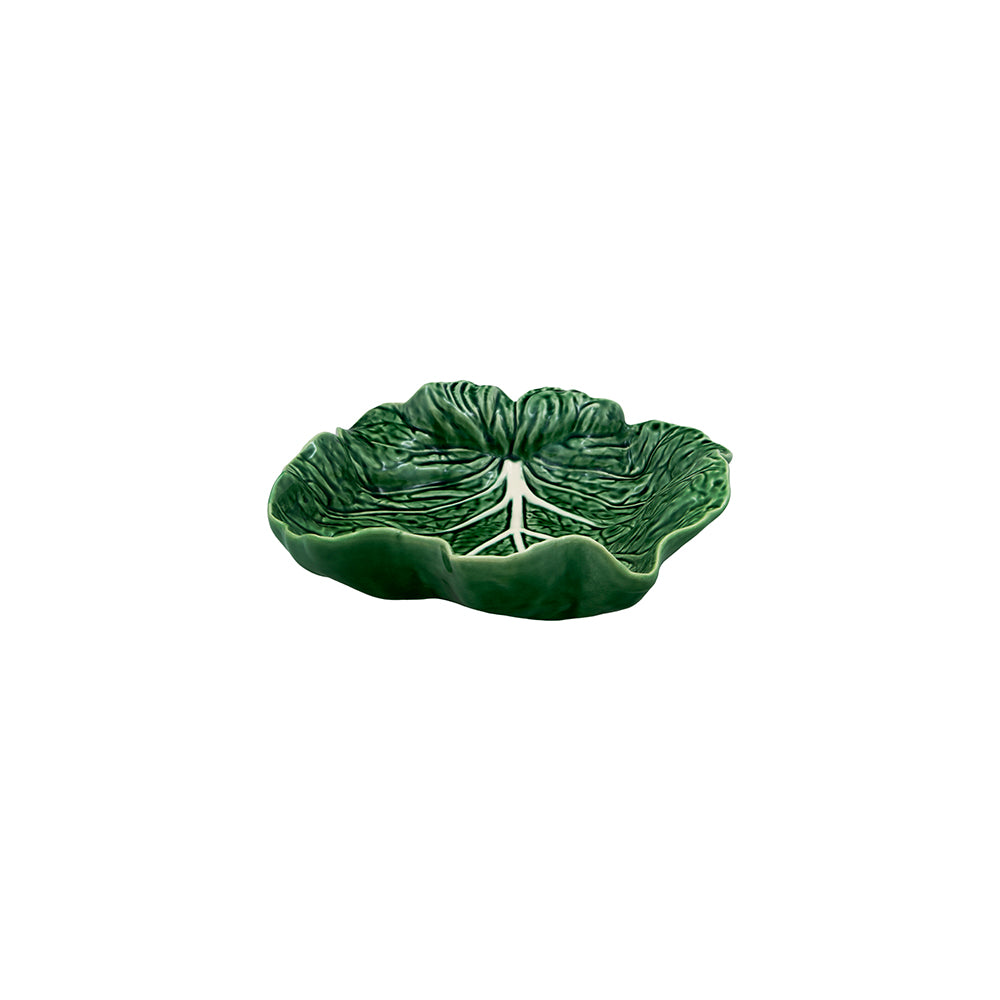 Cabbage - Concave Leaf