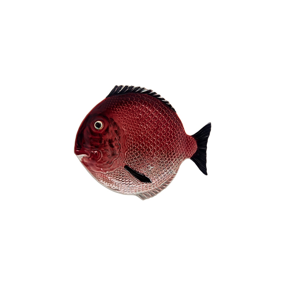 Fish - Dinner Plate
