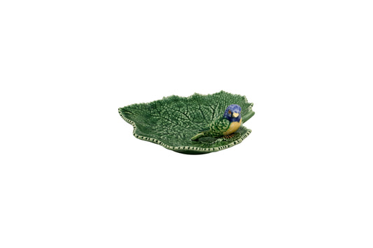 Cinerária - Leaf with Blue Bird