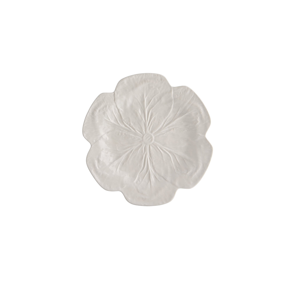 Cabbage - Dinner Plate 26,5