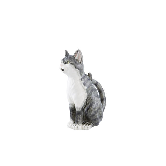 Pitcher 1,2L Cat