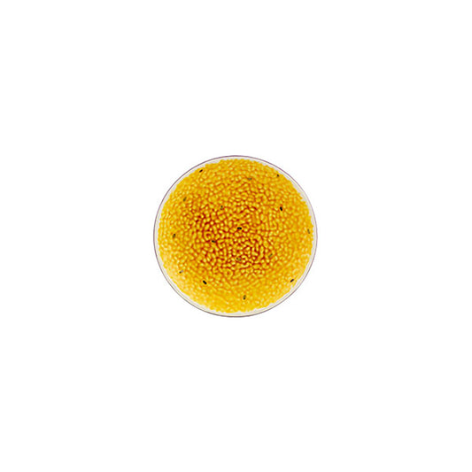 Tropical Fruits - Dessert Plate Passion Fruit