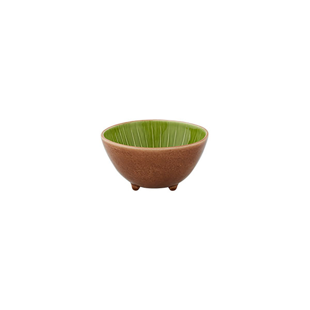 Tropical Fruits - Bowl Kiwi