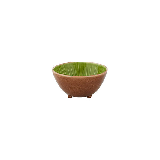 Tropical Fruits - Bowl Kiwi