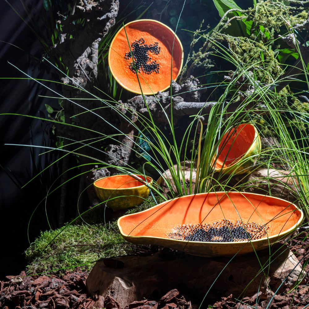 Tropical Fruits - Platter Papaya