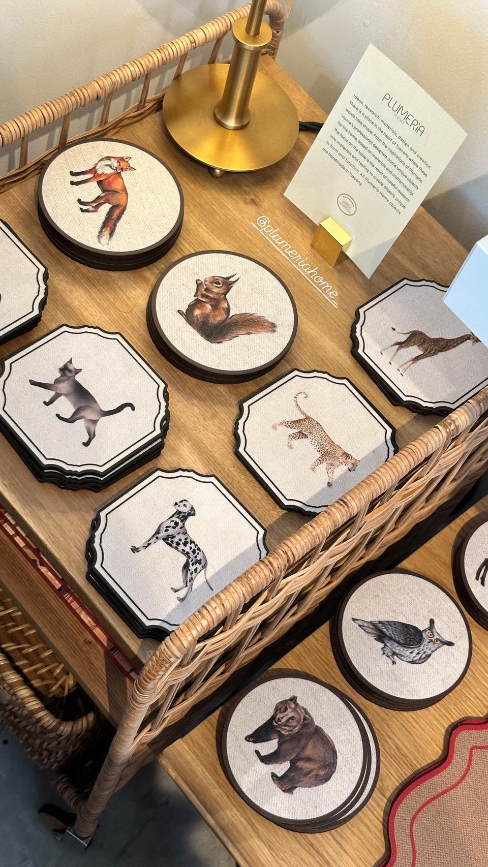 ANIMALI DEL BOSCO COASTER