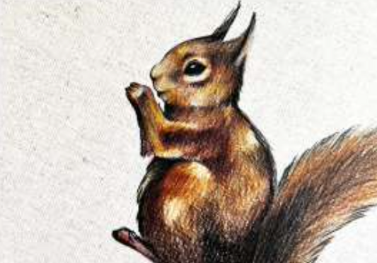 ANIMALI DEL BOSCO COASTER - SQUIRREL