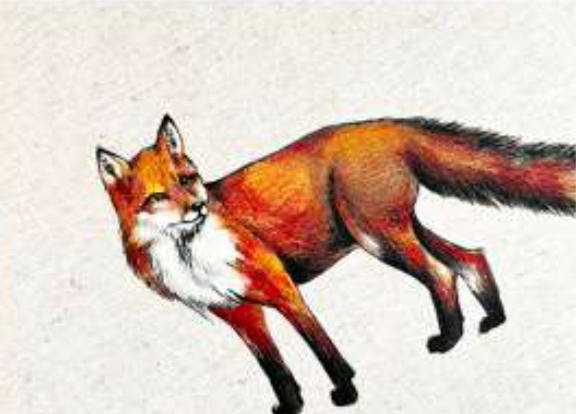 ANIMALI DEL BOSCO COASTER