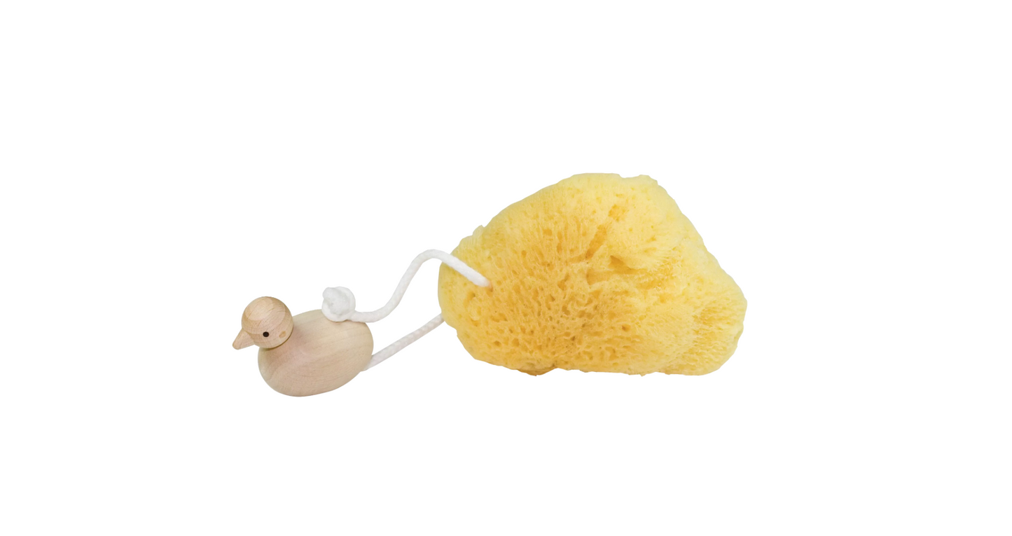 BATH SPONGE