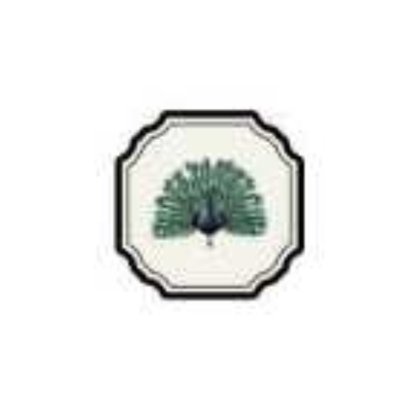 ANIMATE FRAMES COASTER - PEACOCK