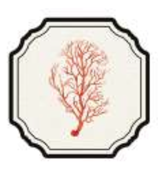 ANIMATE FRAMES COASTER - CORAL