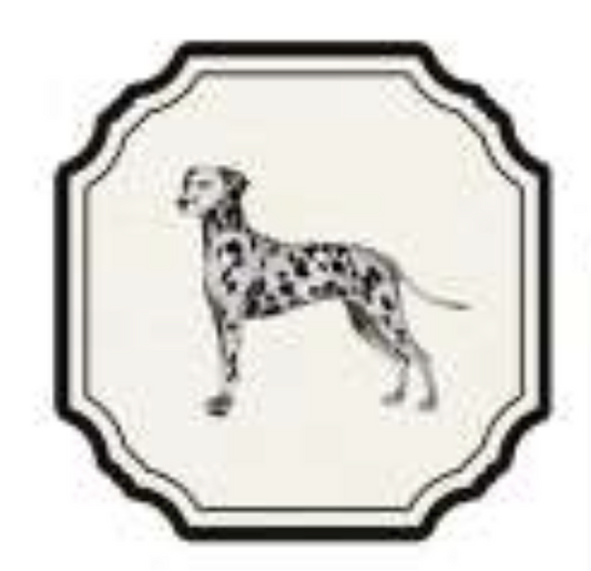 ANIMATE FRAMES COASTER - DALMATIAN