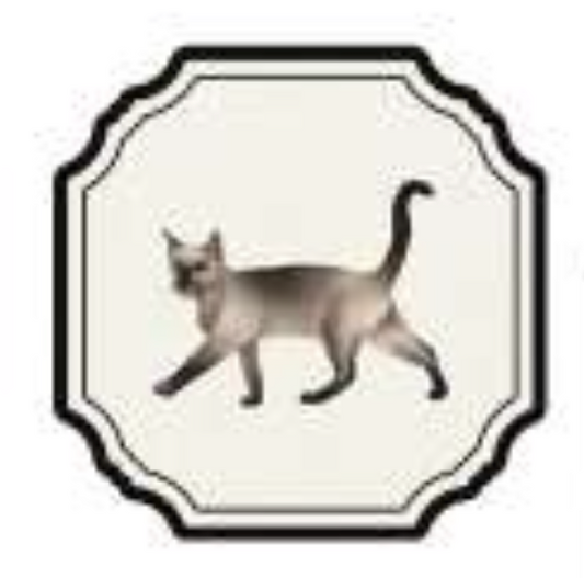 ANIMATE FRAMES COASTER - CAT