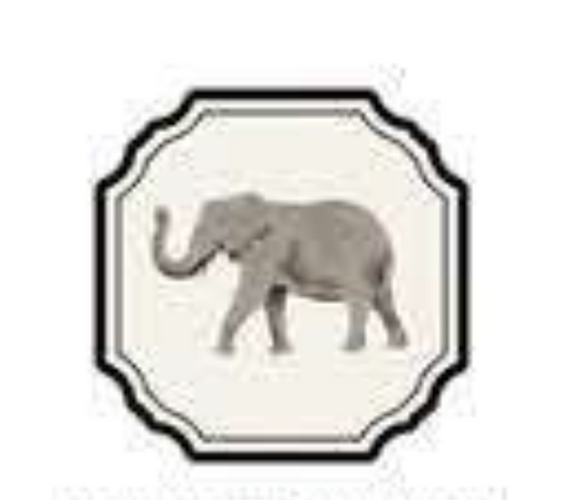 ANIMATE FRAMES COASTER - ELEPHANT