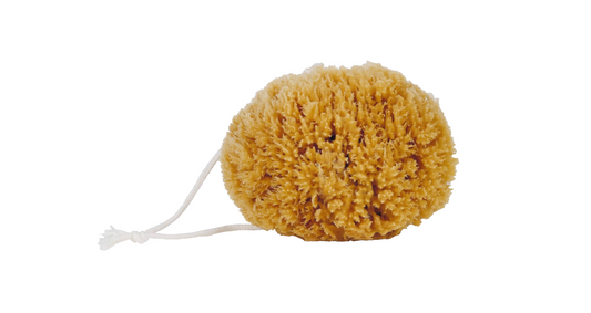 BATH SPONGE