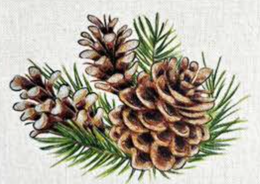 MONTAGNA COASTER - PINE CONES