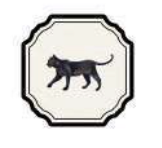 ANIMATE FRAMES COASTER - PANTHER