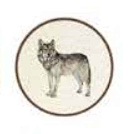 ANIMALI DEL BOSCO COASTER - WOLF