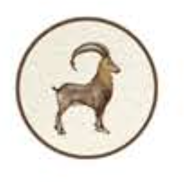 ANIMALI DEL BOSCO COASTER - IBEX