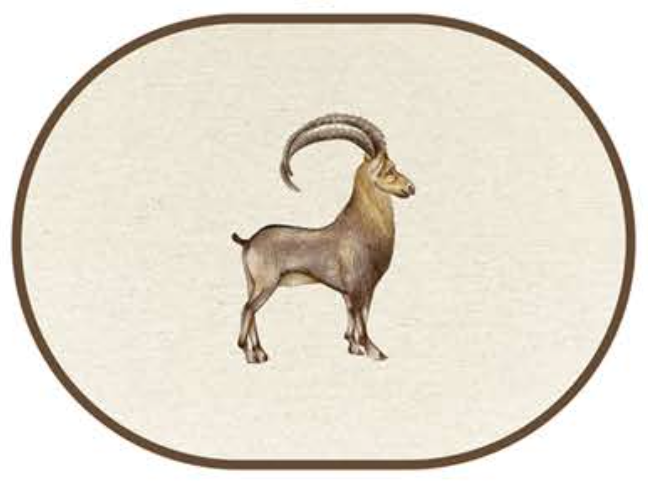 ANIMALI DEL BOSCO PLACEMAT - IBEX