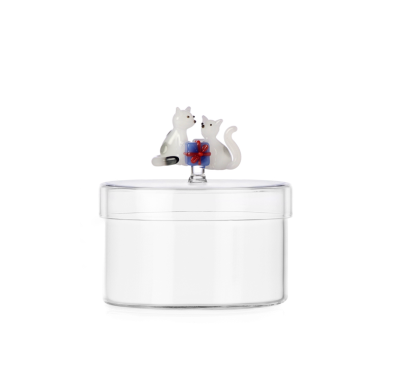 TABBY CAT CHRISTMAS EDITION - box white cats w/light blue gift