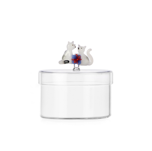 TABBY CAT CHRISTMAS EDITION - box white cats w/light blue gift