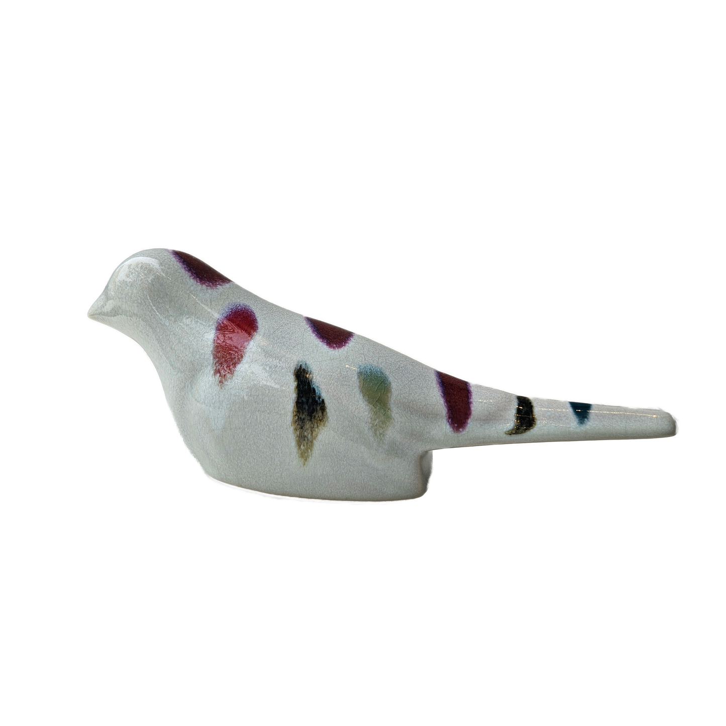 COLOR BIRD