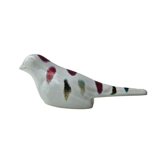 COLOR BIRD