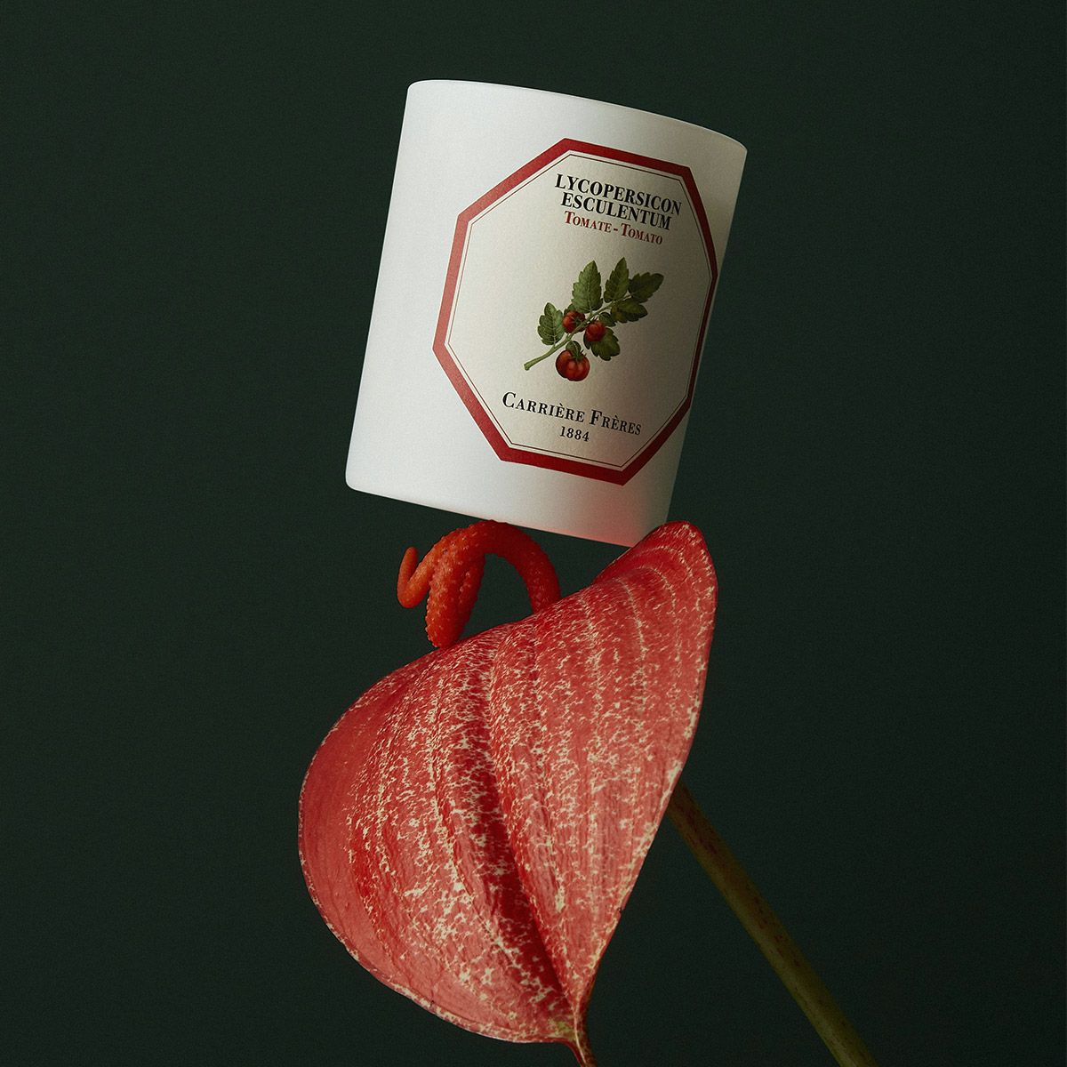 TOMATO CANDLE