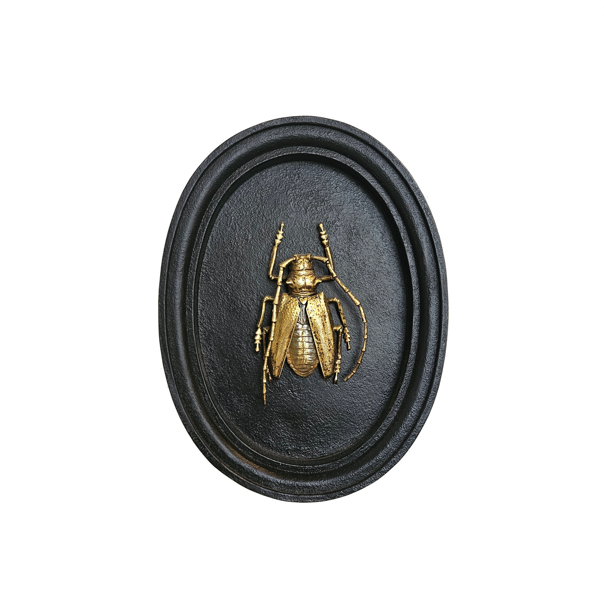 OVAL WALL OBJECT 1