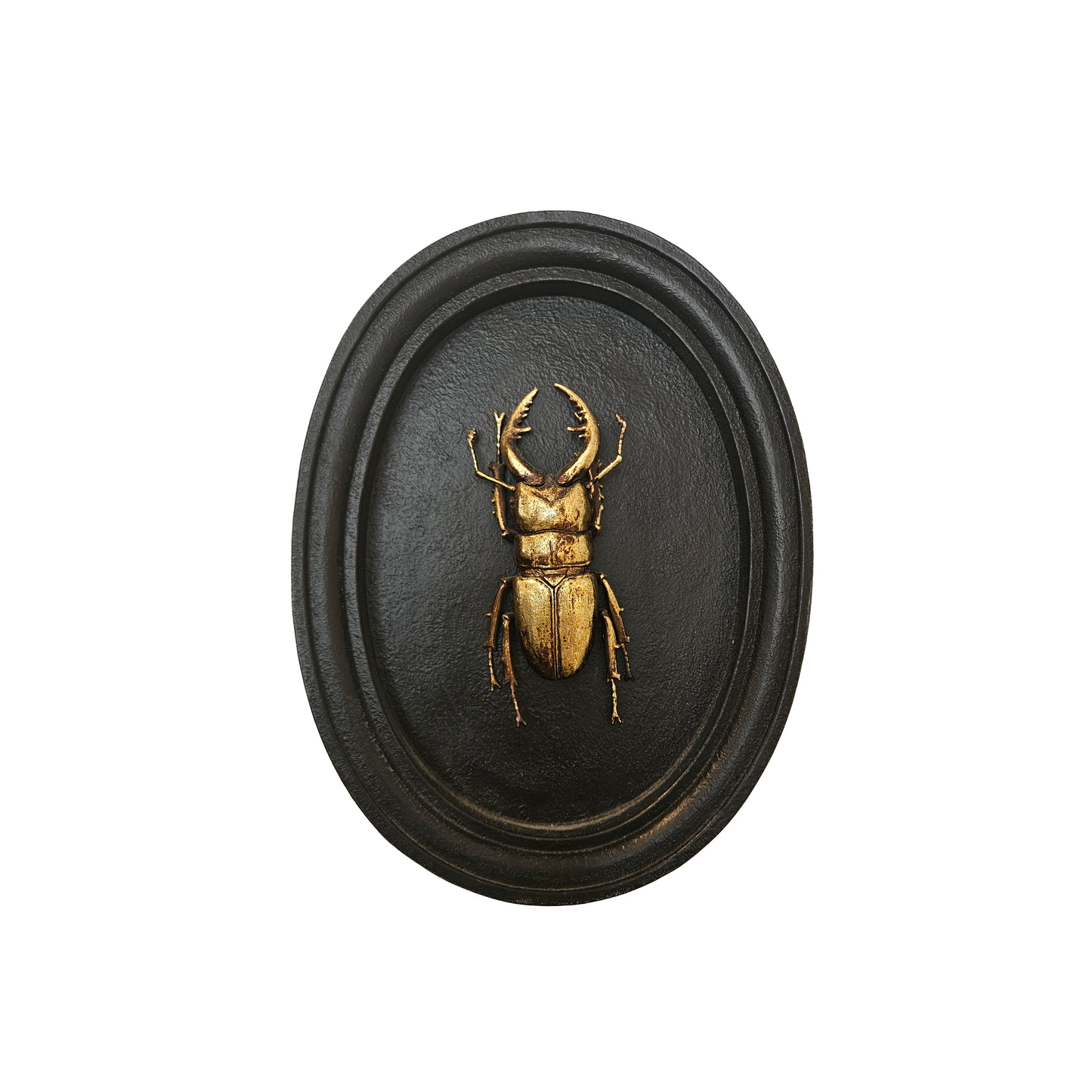 OVAL WALL OBJECT 2