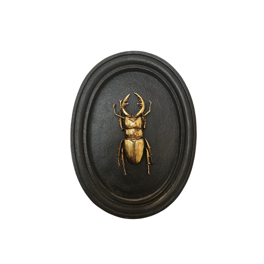 OVAL WALL OBJECT 2